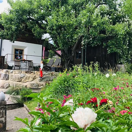 Apartman Haus Ehammer Hopfgarten im Brixental