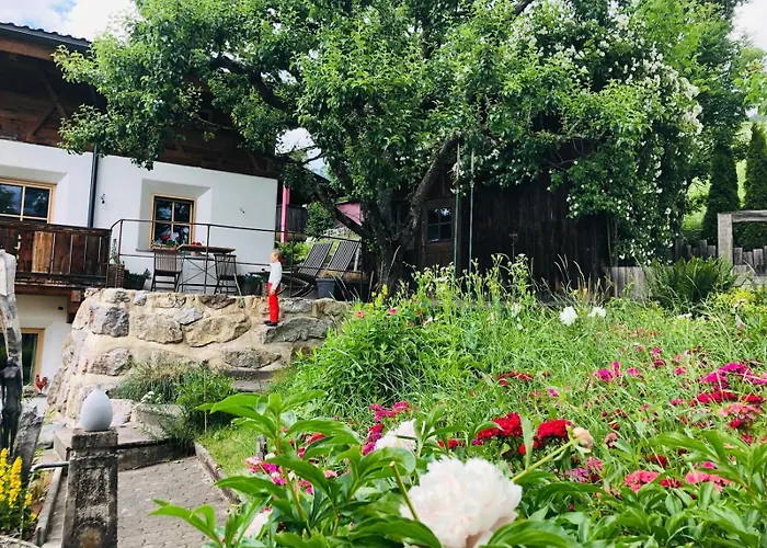 Appartement Haus Ehammer Hopfgarten im Brixental