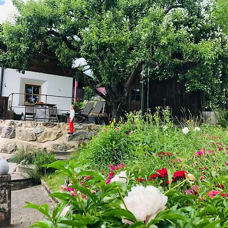 Lejlighed Haus Ehammer Hopfgarten im Brixental